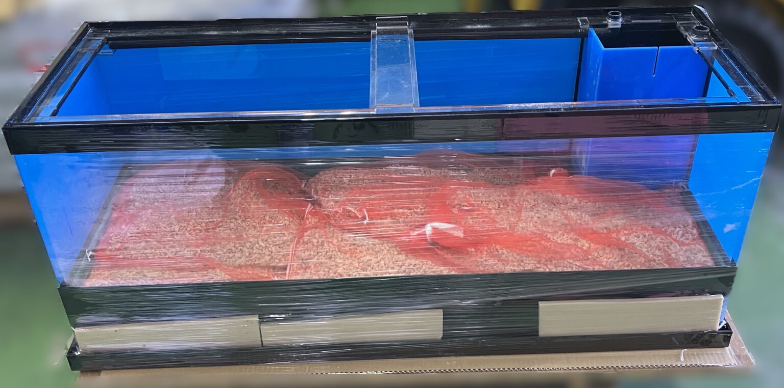 特注W1170 底面濾過 新規 活魚水槽 | 水槽設置・メンテナンス施工ブログ